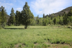 Camp3Field